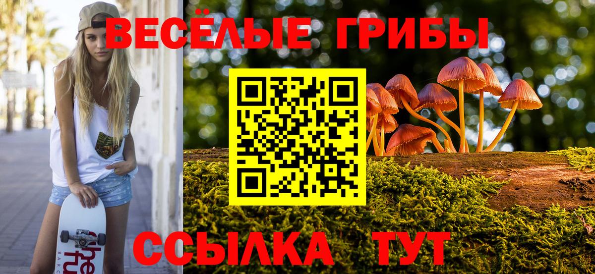 Псилоцибиновые грибы Cubensis Миасс