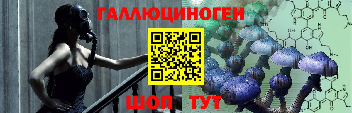 Псилоцибиновые грибы Psilocybine cubensis  Псилоцибиновые грибы Psilocybine cubensis  Миасс  Вход с VPN 